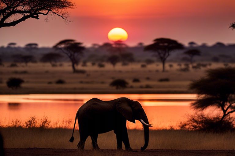 Ultimate Safari Destinations In Africa